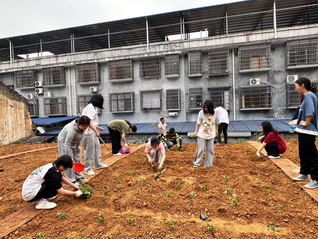 威廉希尔中文官网