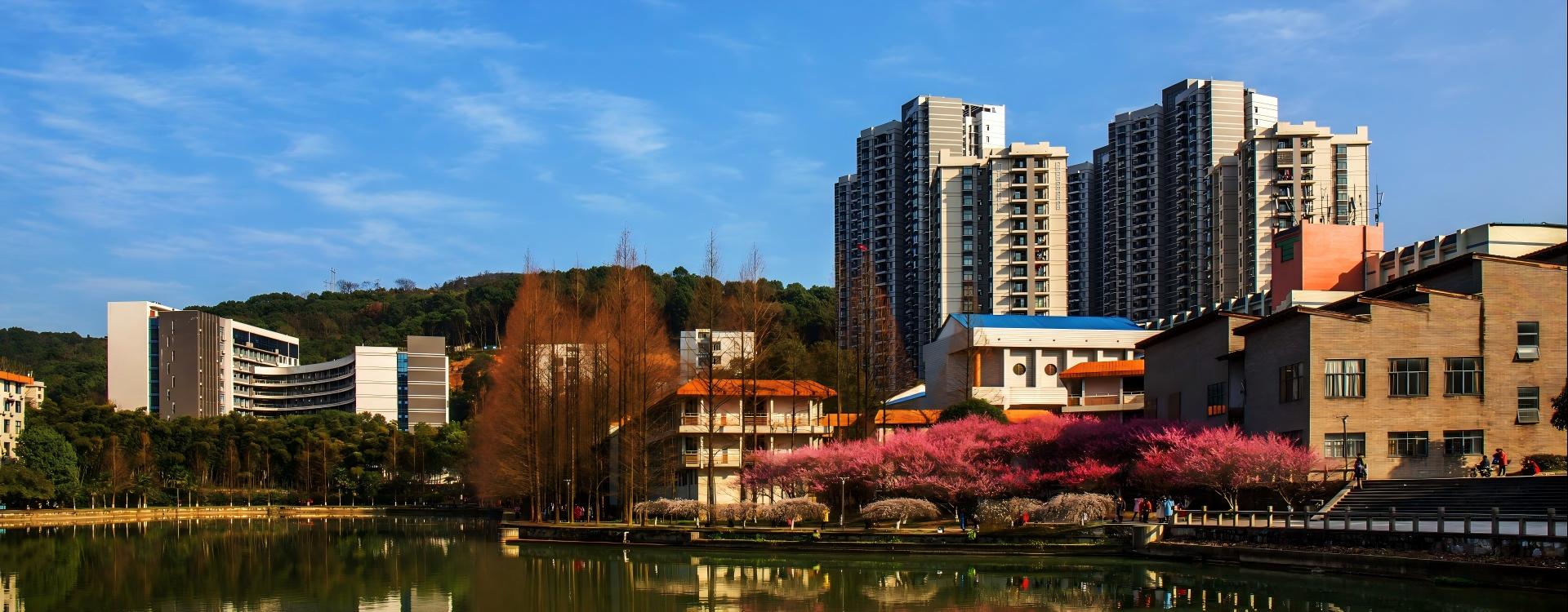 威廉希尔中文官网