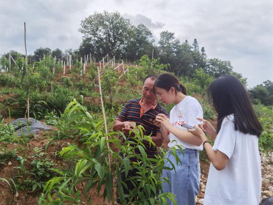 威廉希尔中文官网